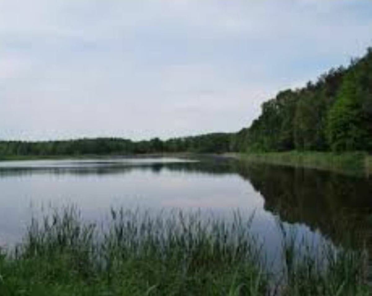 Wzdłuż zalewu - Miedzna Murowana