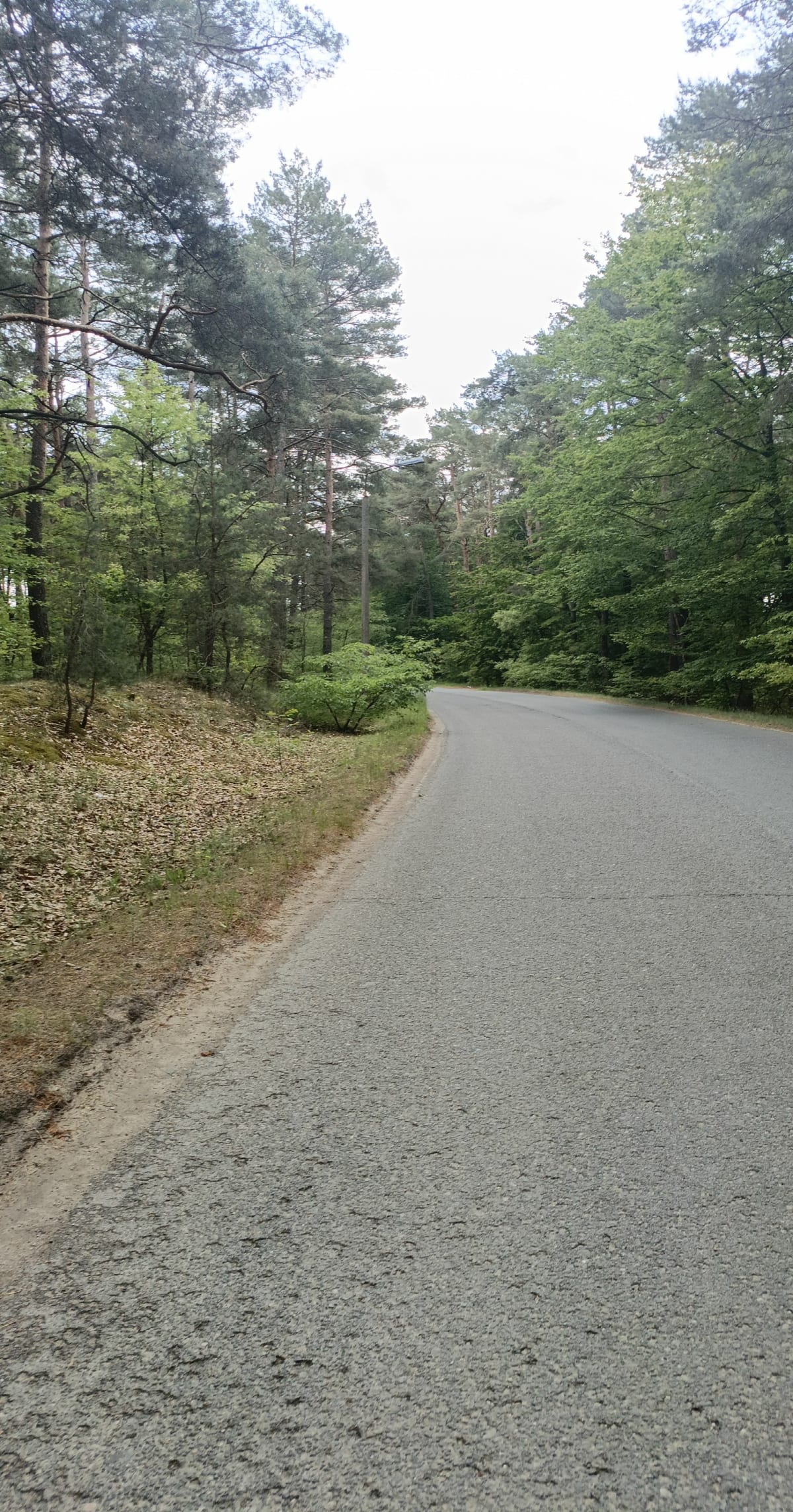 Trekking na plażę Piecki - Bydgoszcz