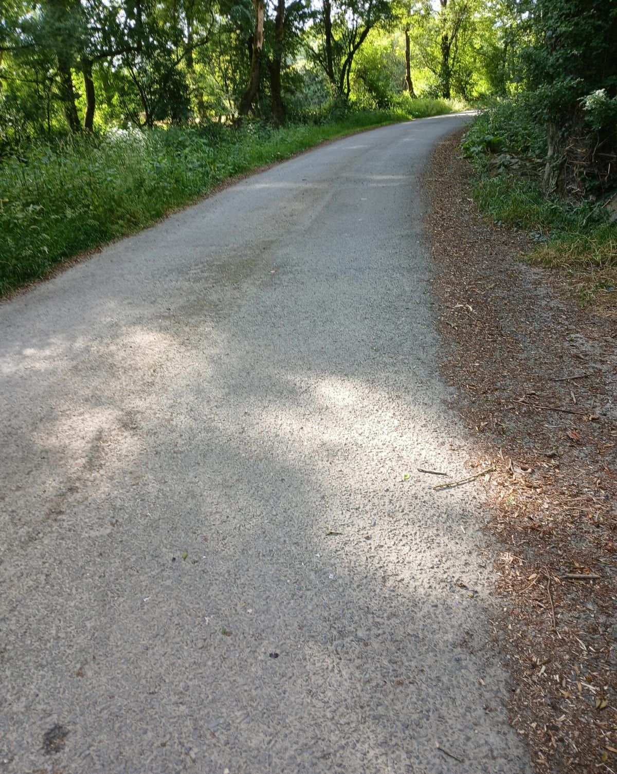 Tour sous les arbres de Guémené-Penfao - Franck
