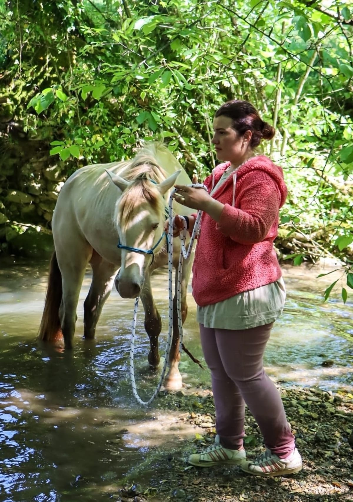 Balade des écuries jusqu’à l’eau - Moye