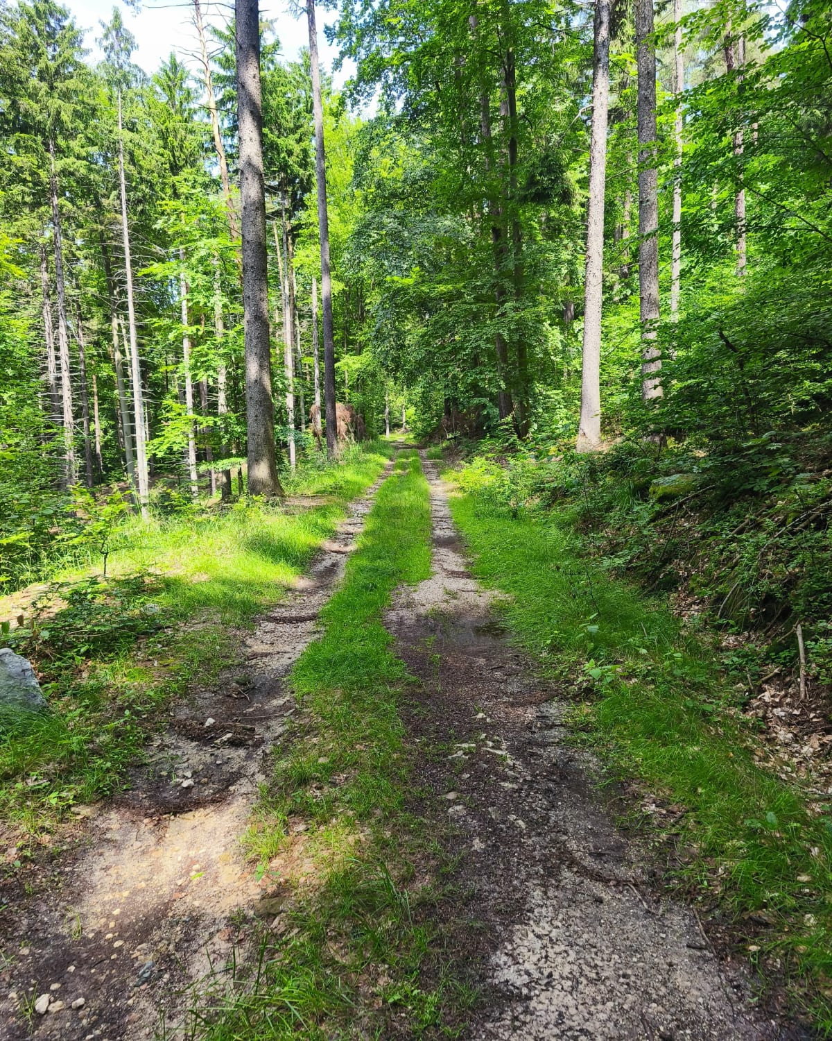 Enduro Ślęża - Sady
