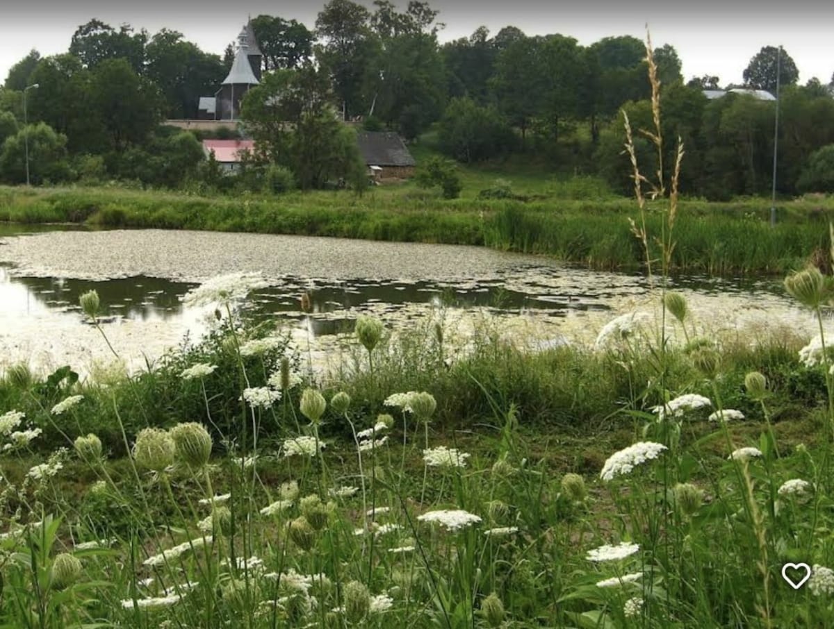 Lajtowe kręcenie - Skołyszyn