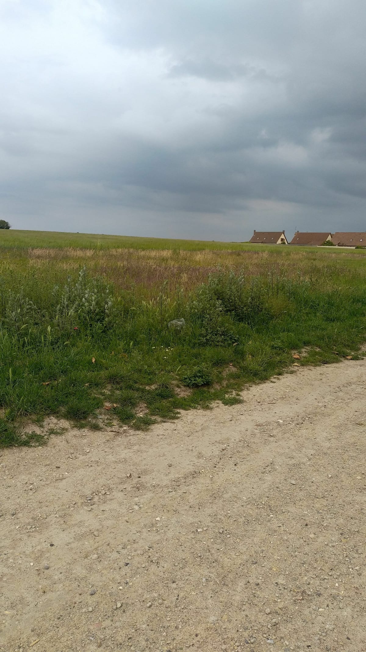 Autour de Camon, Parc St Pierre et halage - Camon