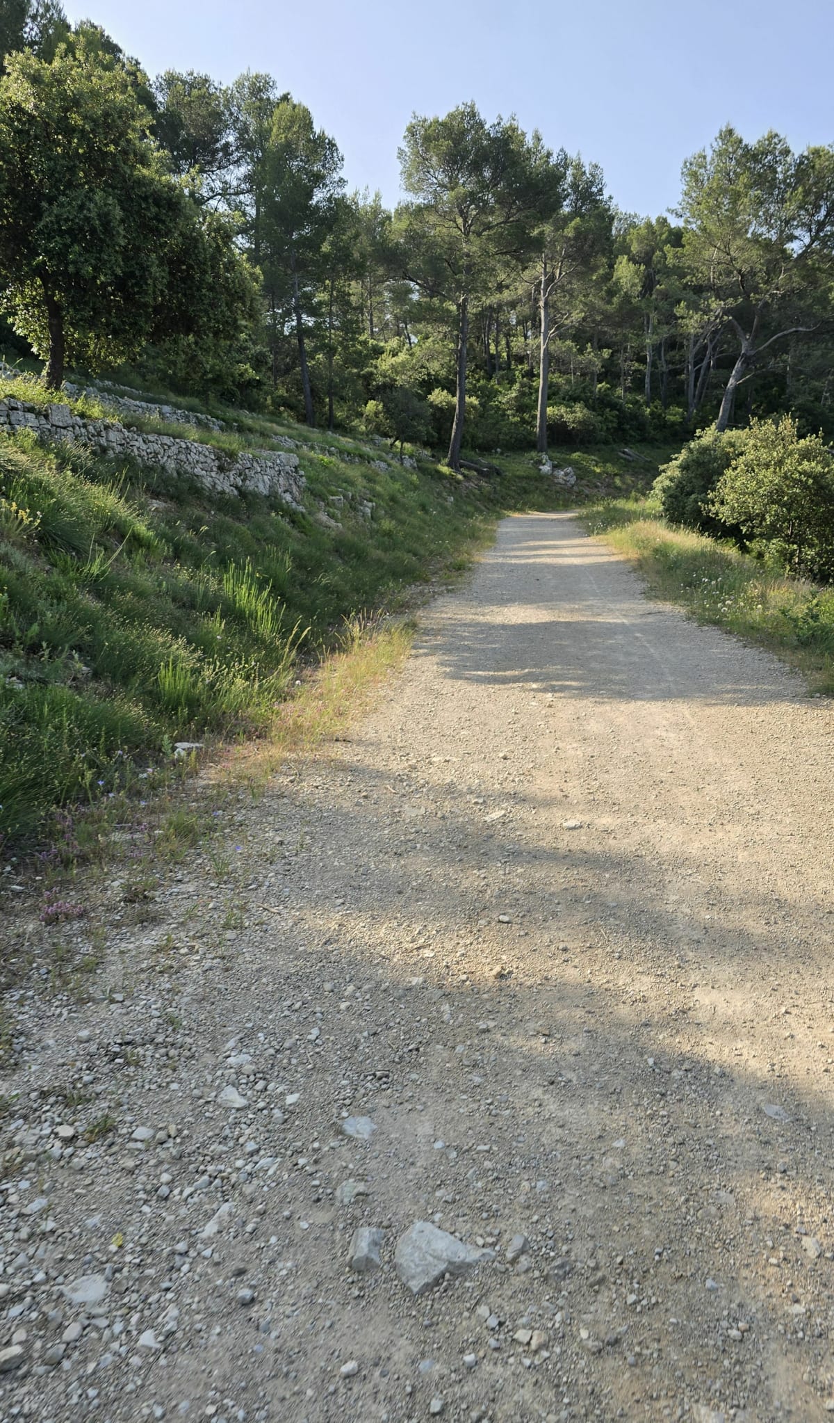 Sortie VTT autour de Solliès-Ville - Solliès-Toucas