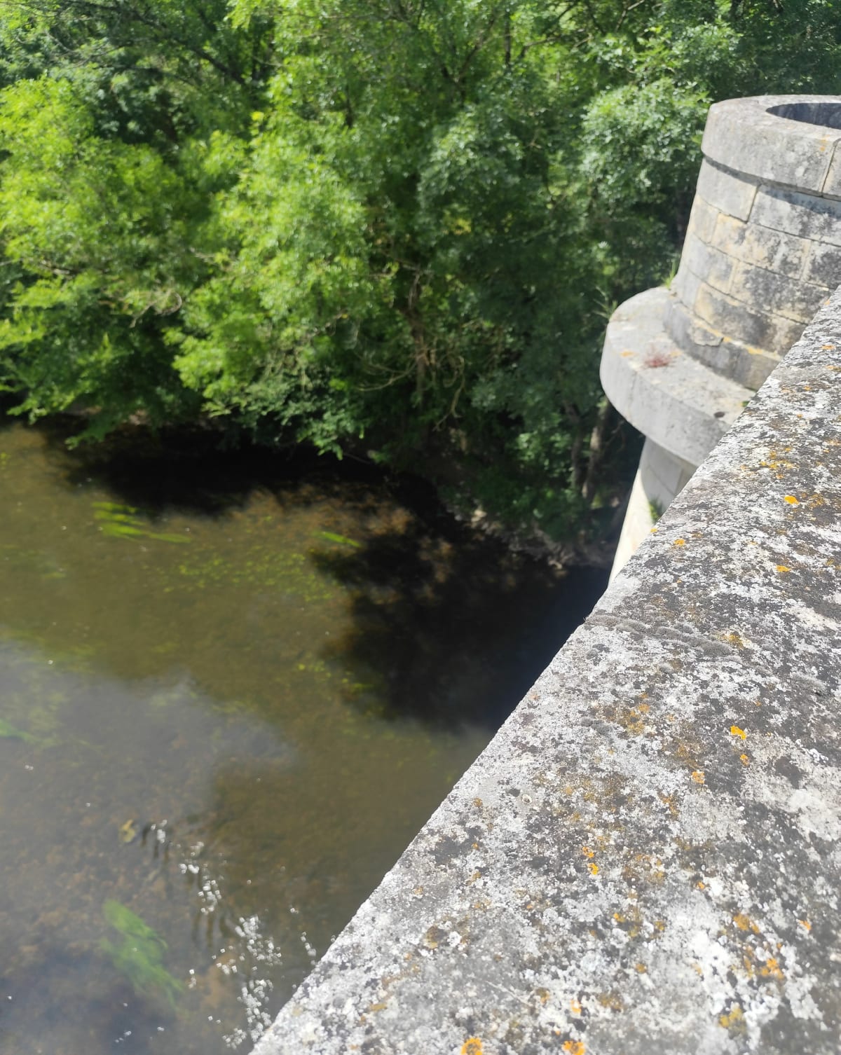 Balade sur l'ancienne ligne de chemin fer, à Ingrandes - Ingrandes