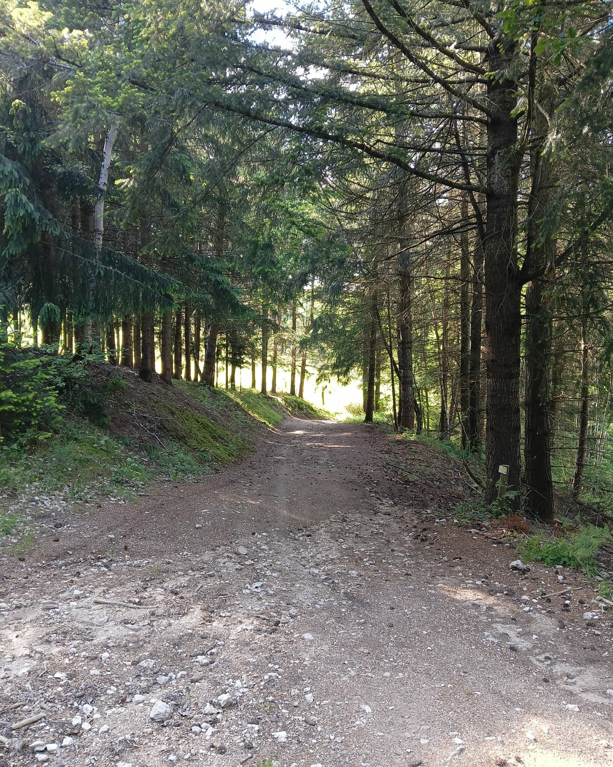 Balade sur le Haut Forez et col de Joanziecq - julien