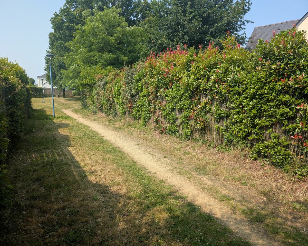 Boucle tranquille en bords de Loire - Thouaré-sur-Loire