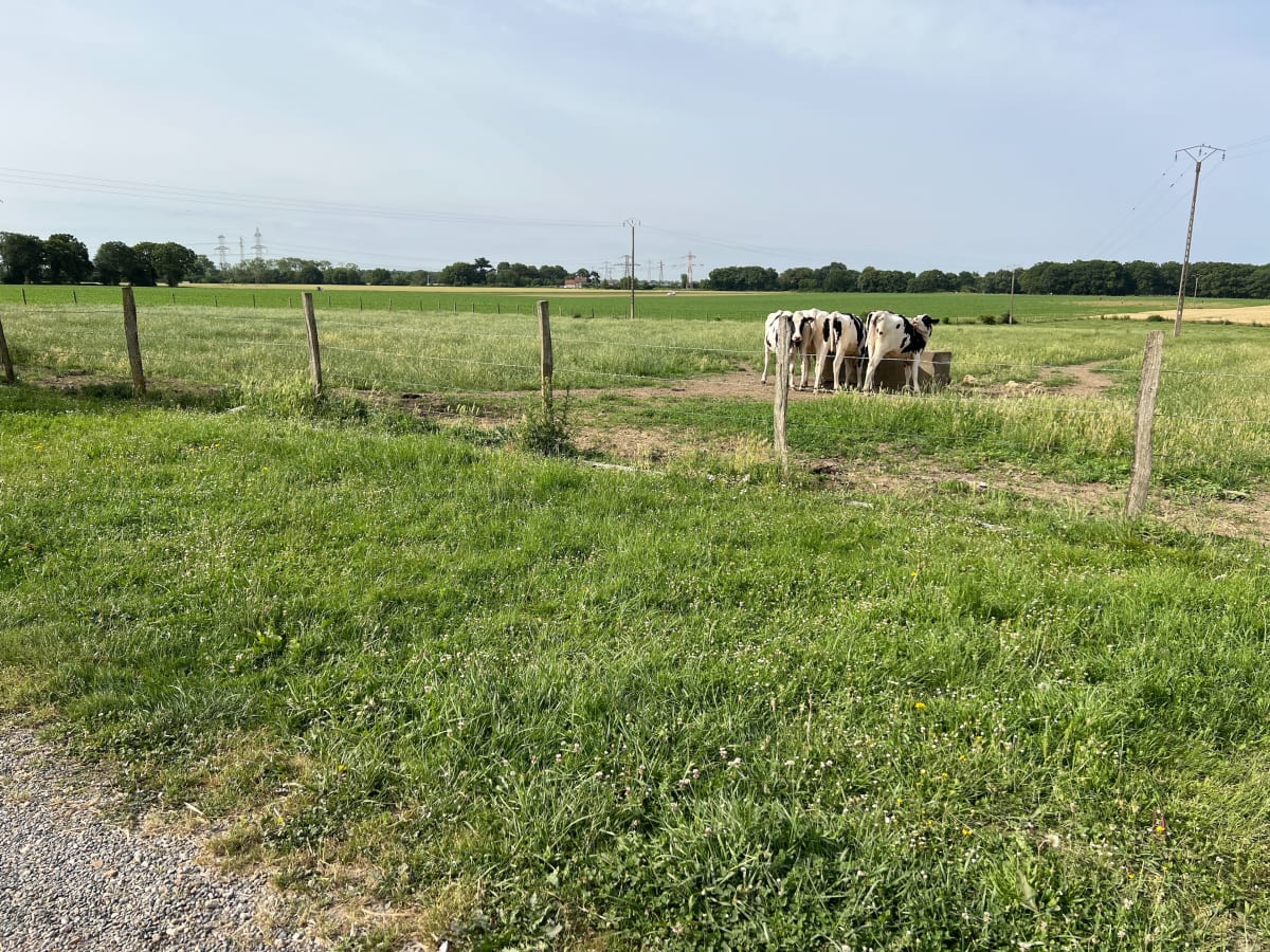 Balade Viltain + étangs Saclay - Saclay