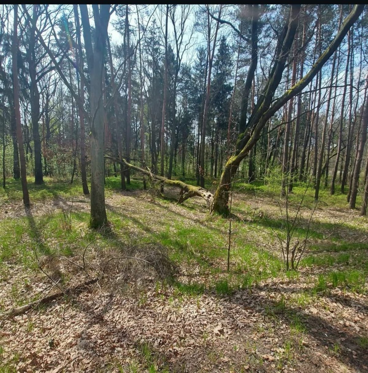 Spacer po Janowie - Mysłowice