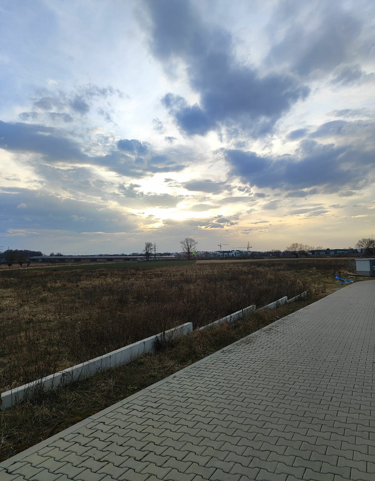 Nad złocieniowymi stawami - Kraków