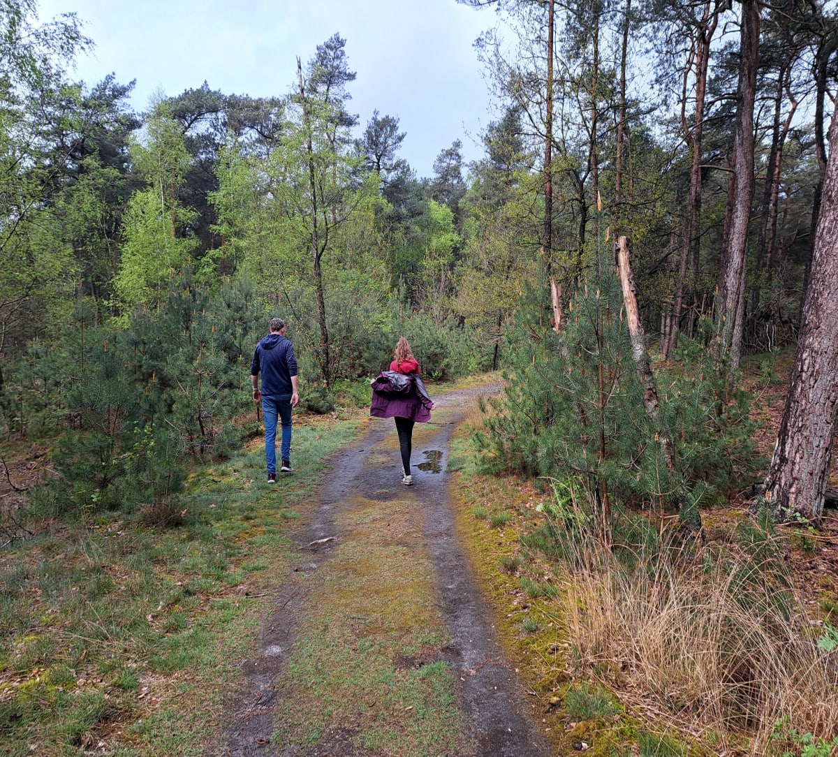 Holandia harskamp - Kootwijk