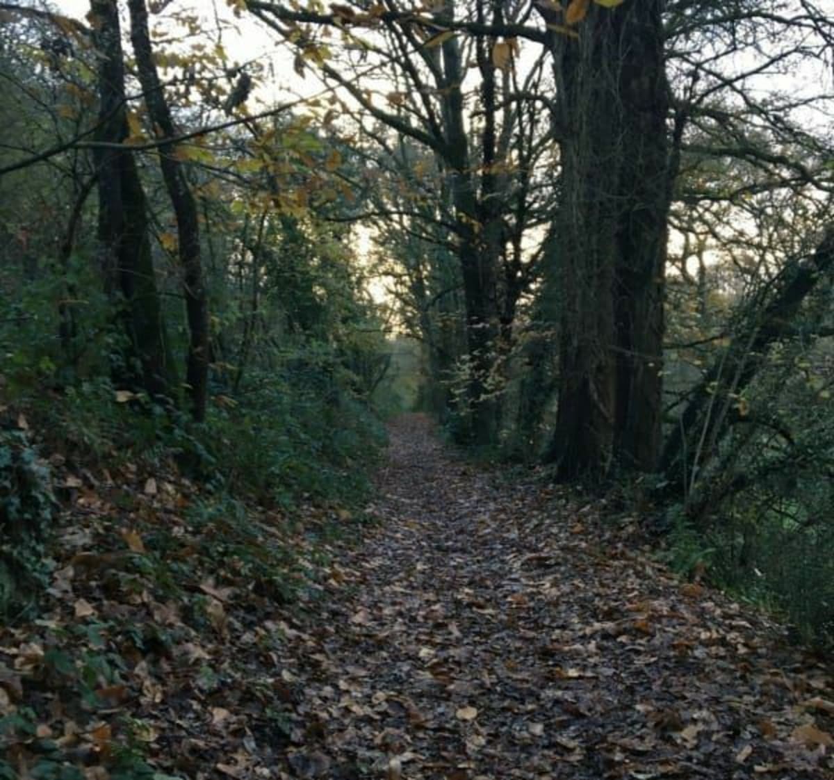 Balade de Corps-Nuds par les chemins de traverses - Corps-Nuds