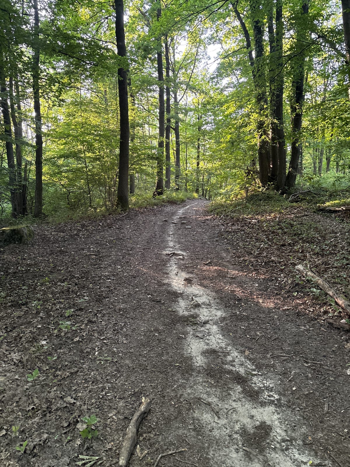 Chemin tortueux à Moussy-le-Vieux - Moussy-le-Vieux