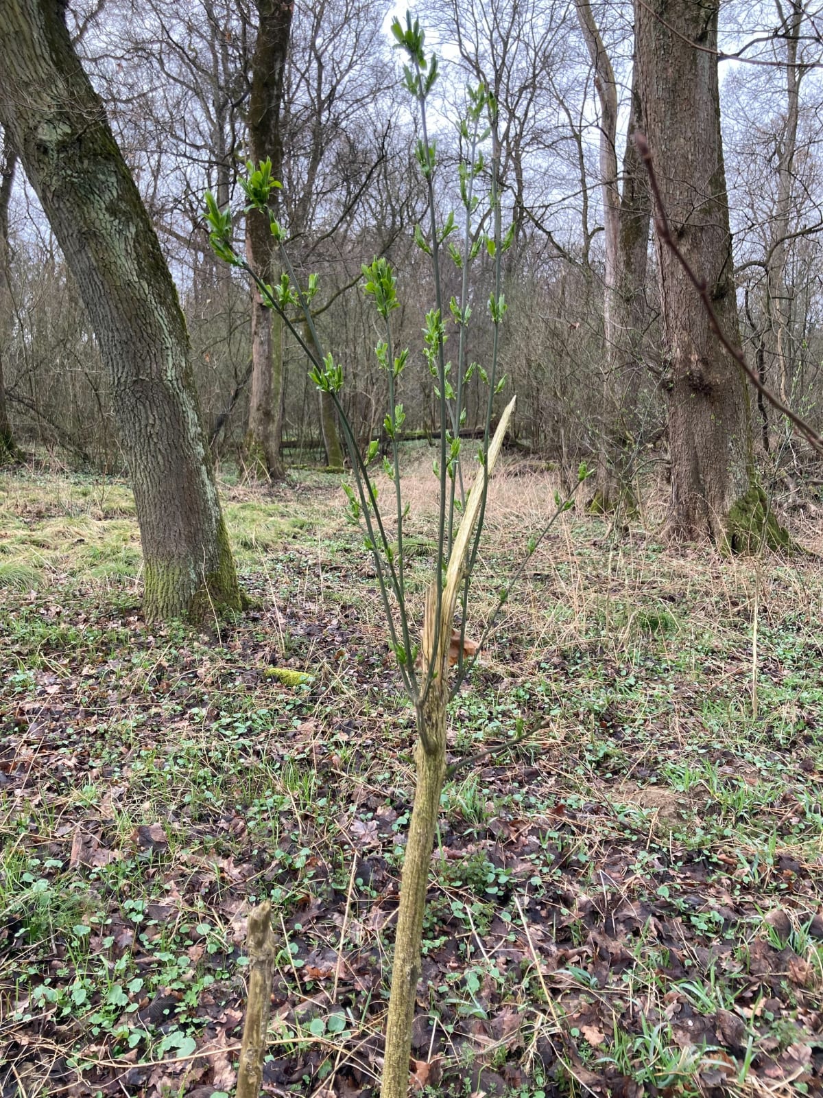 Wycieczka Do Przylasku - Kraków