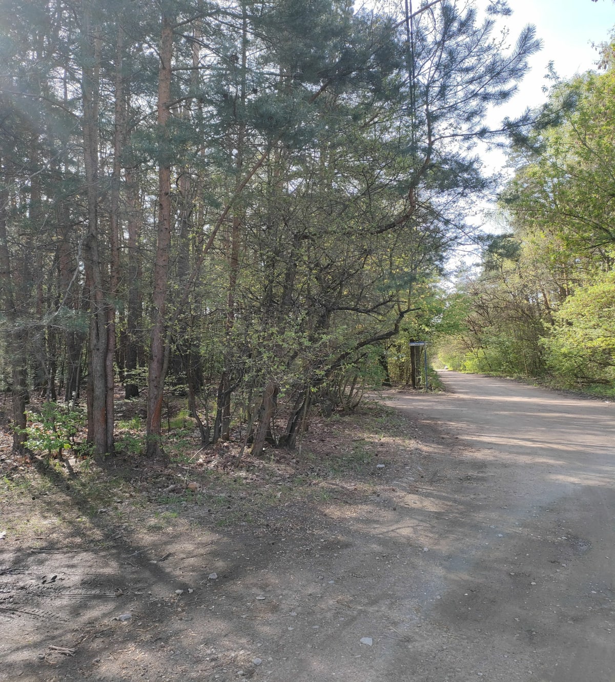 Cud nad Wisłą - Ossów - Wołomin