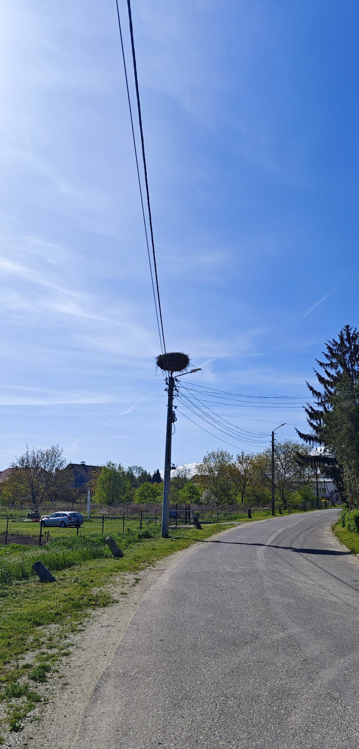 Pieszo, Pszenno i okolice - Pszenno
