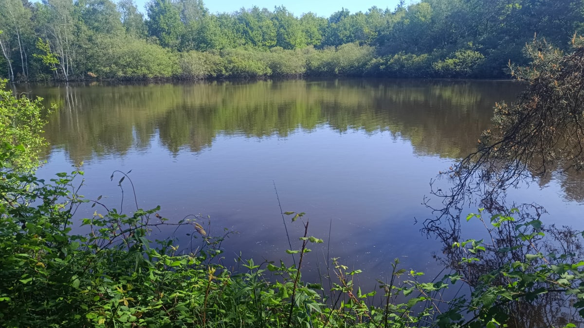 Boucle en forêt de Sologne - Alfred