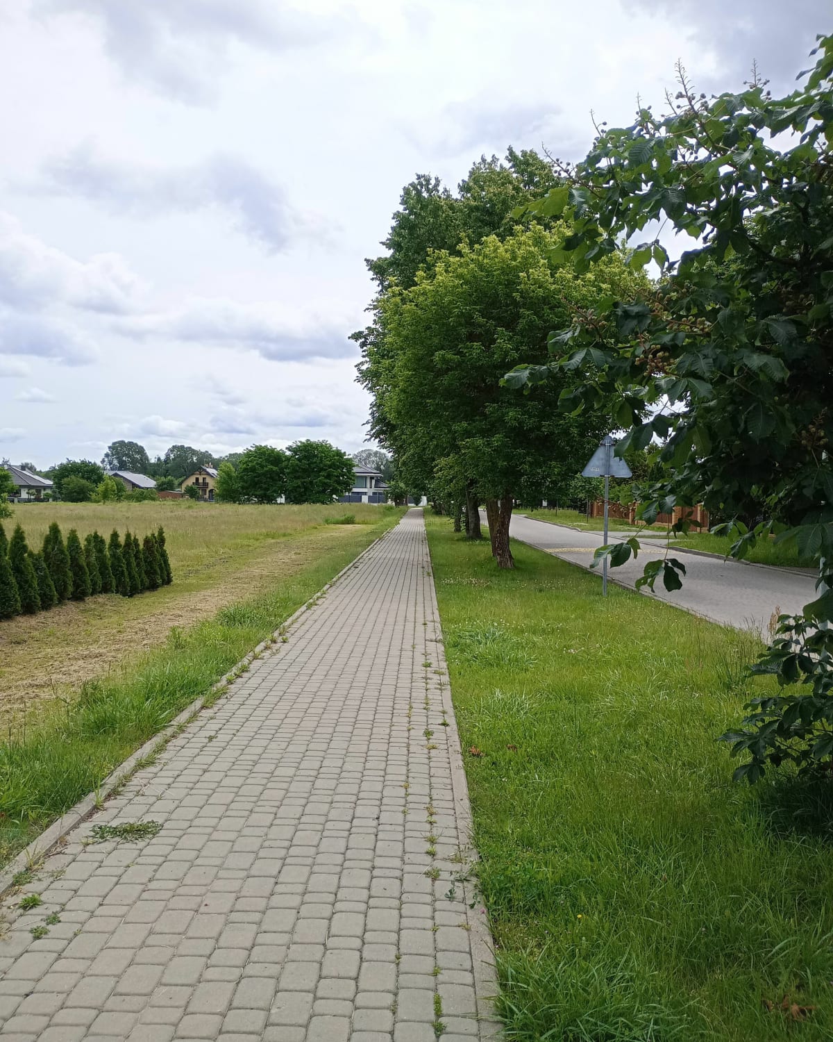 Pętelka z Kasztanowej - Wyszków