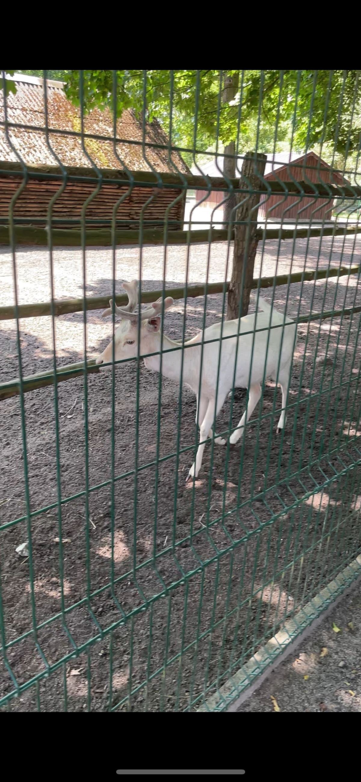 Z Glinna przez PKP, ZOO i Alejki - Glinno
