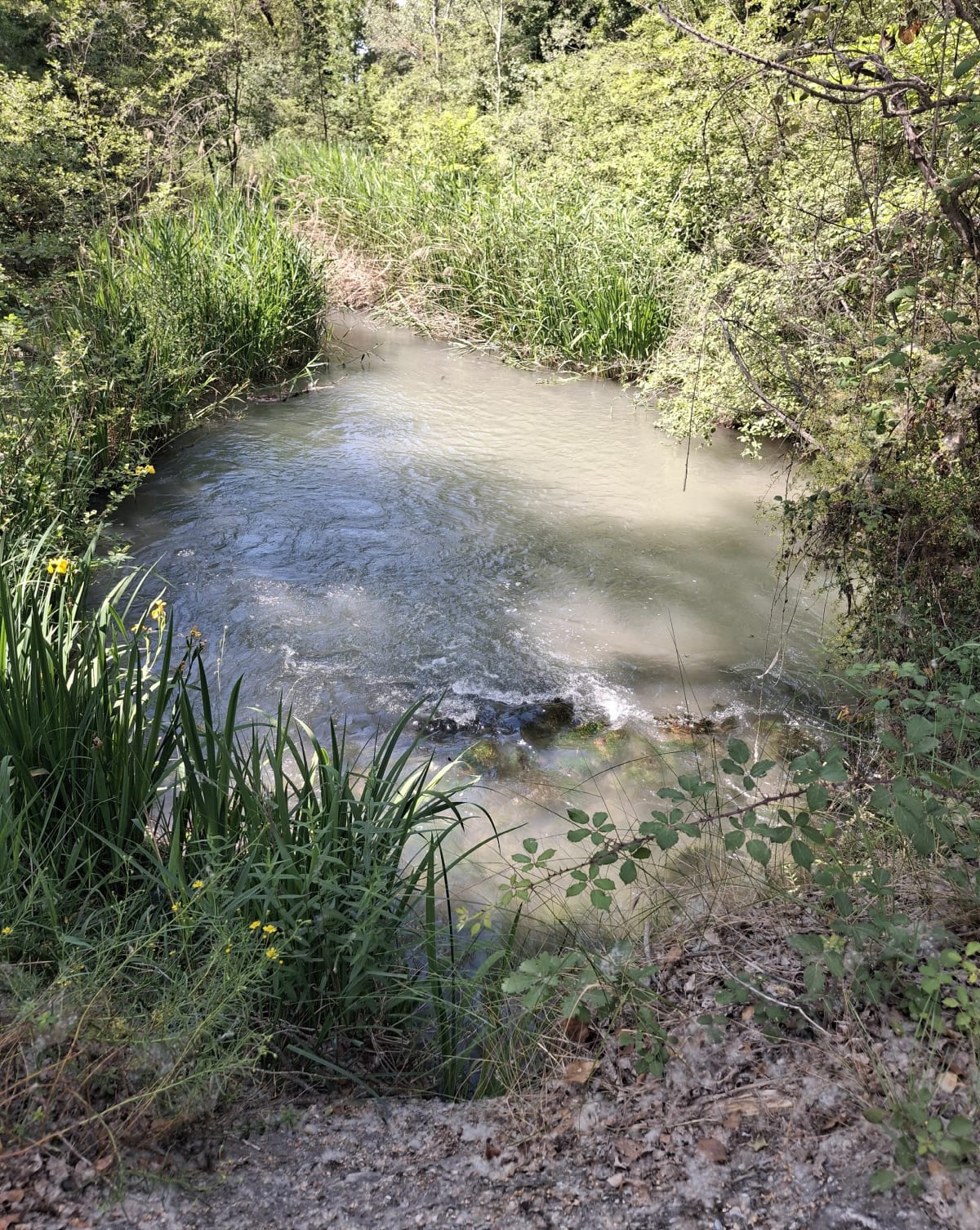 Promenade en famille - Manosque