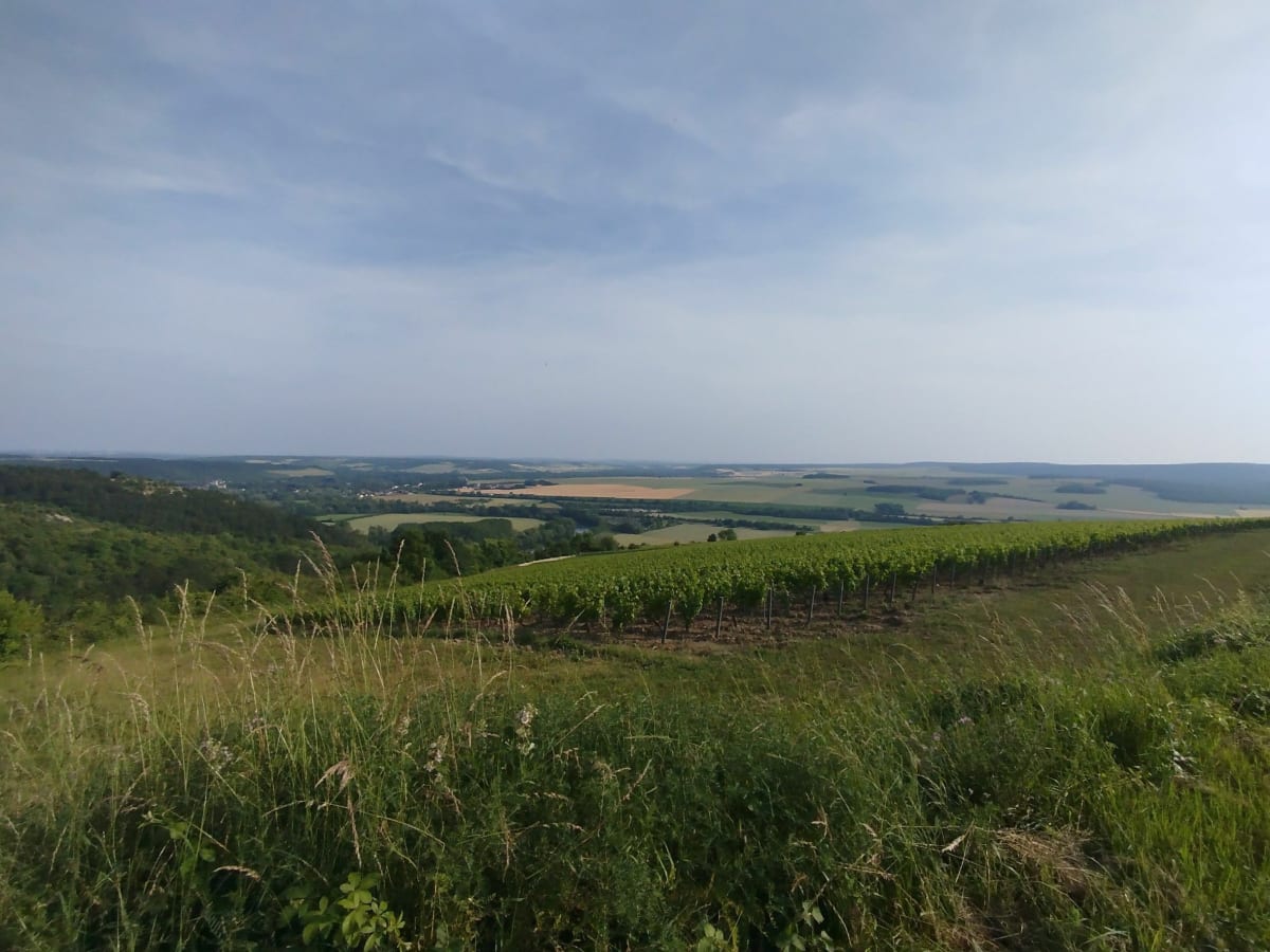 Tour d'Escolives par Mouffy - Escolives-Sainte-Camille