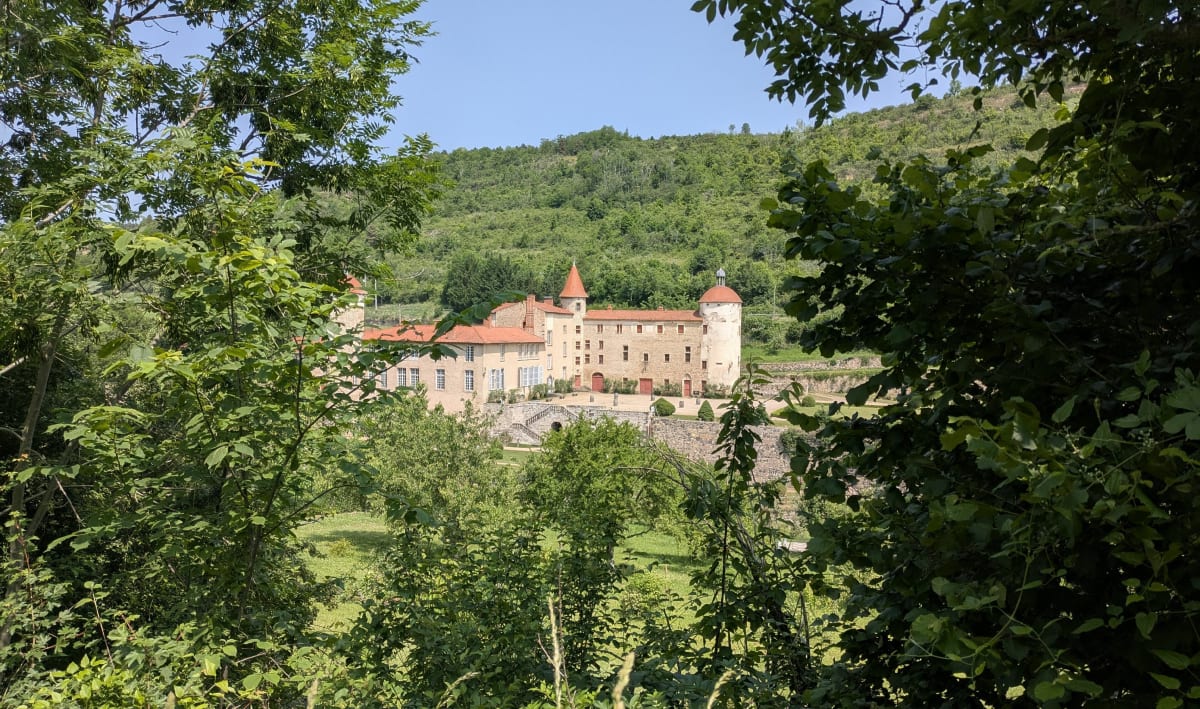 Forêt, champs avec une belle vue autour du Crest - Chanonat