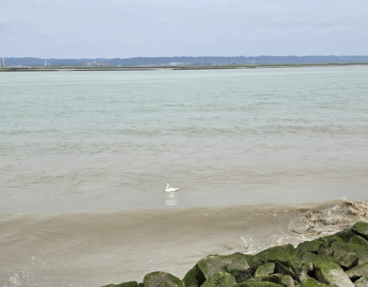 De Conteville à Honfleur - Conteville