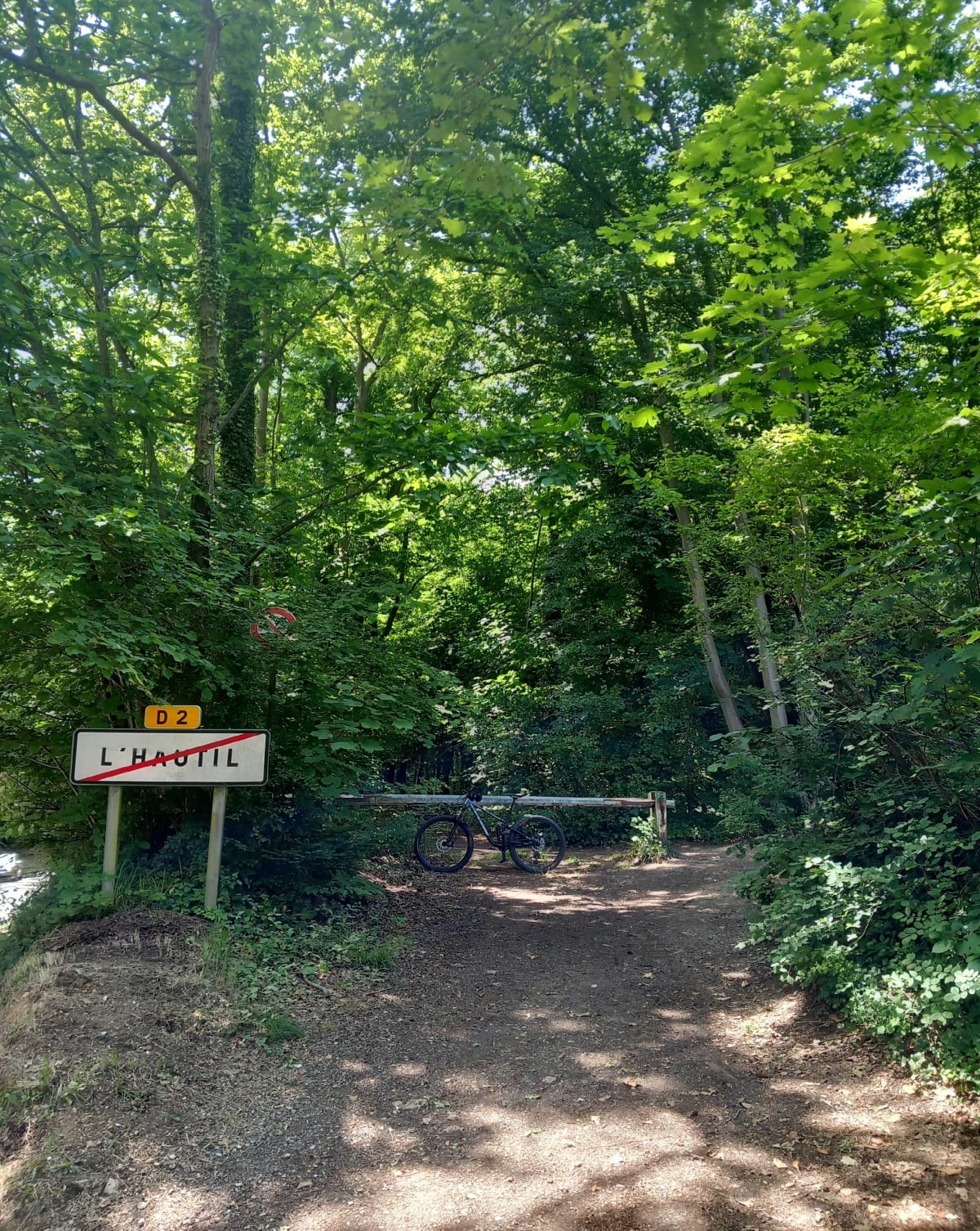 Bord de Seine, Côte et Forêt. - Vaux-sur-Seine