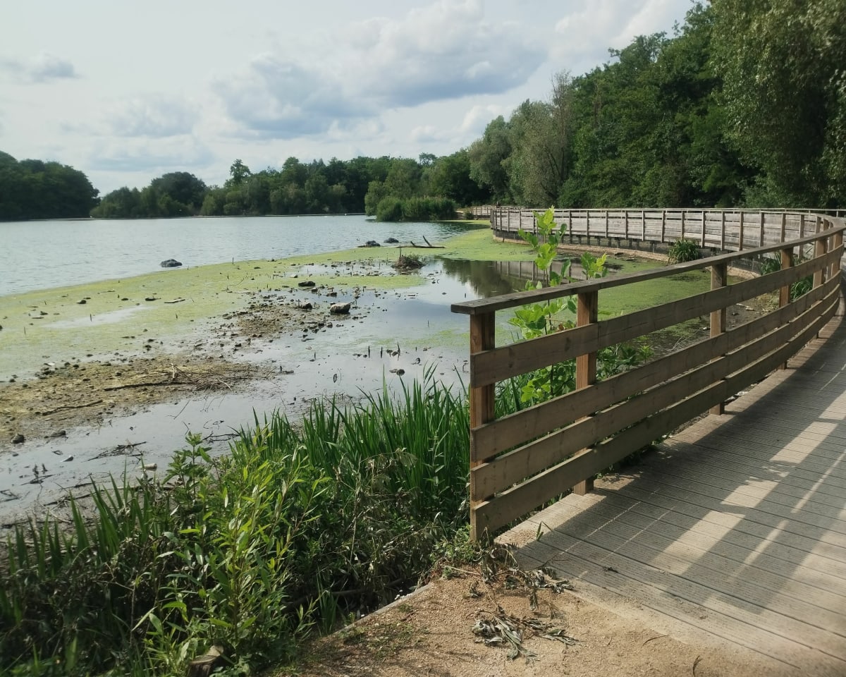 De l'Orge à la Seine - Villemoisson-sur-Orge