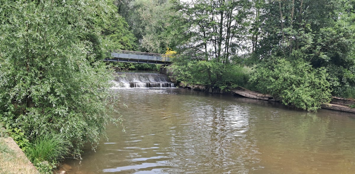 Entre forêt, canal de la Marne au Rhin et champs, par Mommenheim - Brumath