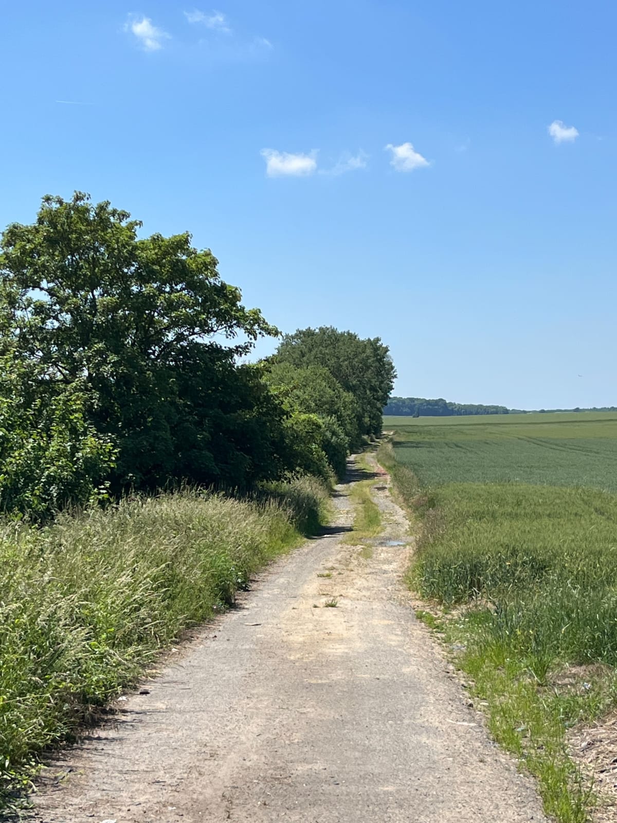 Balade Gravel à Meaux - Villenoy