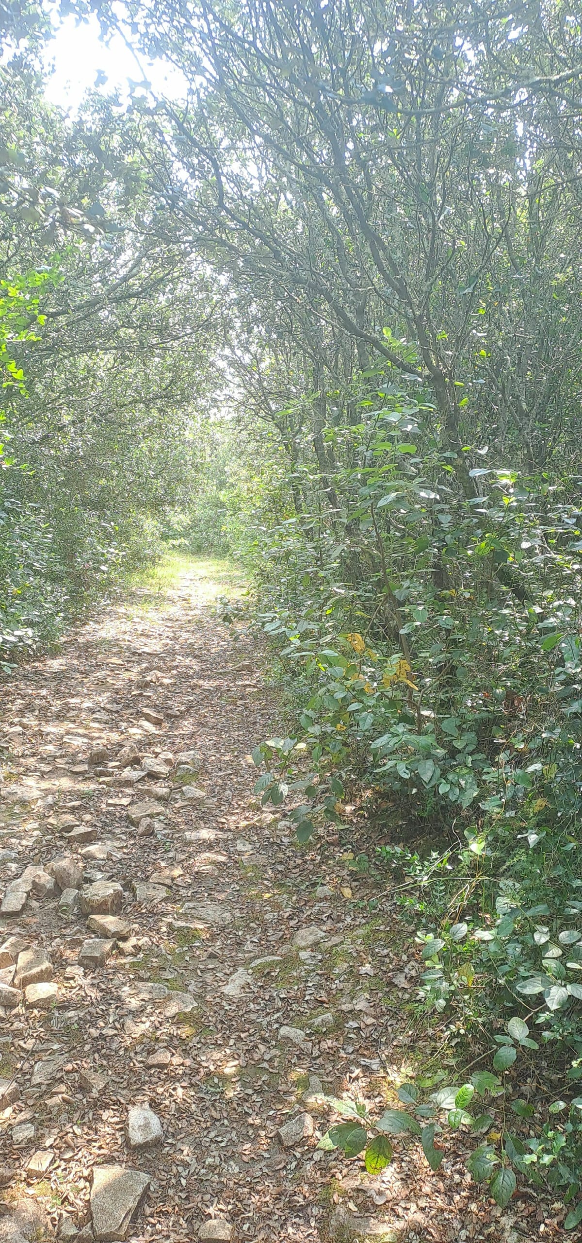 Boucle entre Gajan, Saint-Geniès, La Rouvière - Gajan