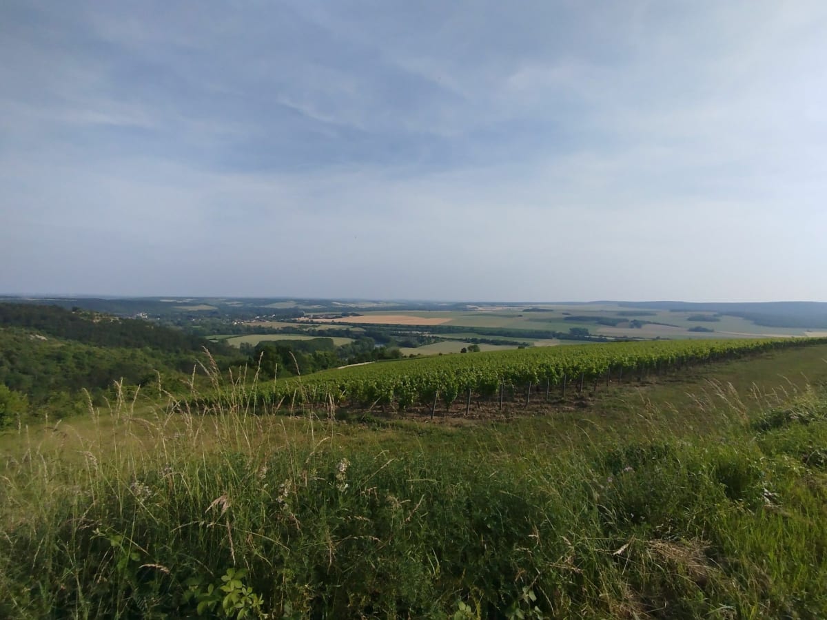 Vue sur Cravant - Escolives-Sainte-Camille