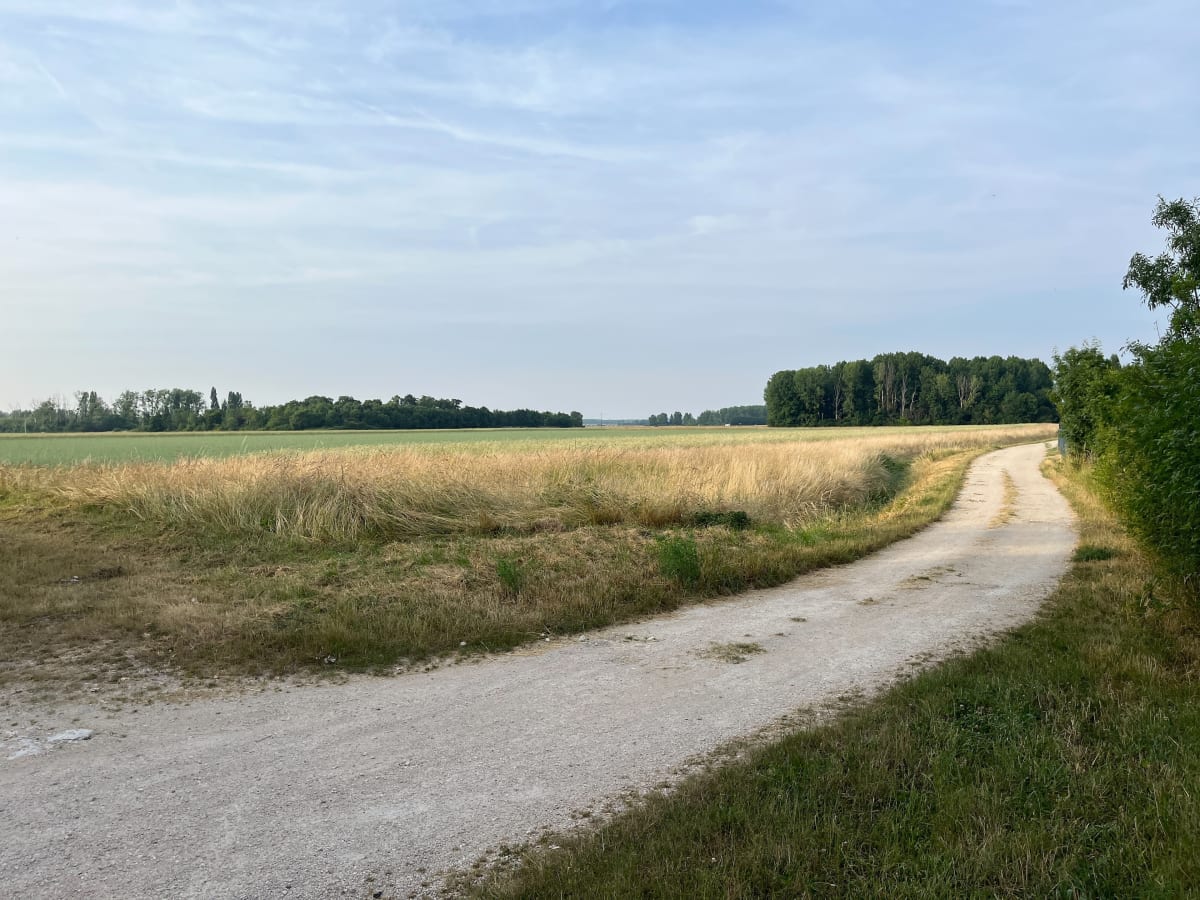 Boucle entre Vineuil et Montlivaut - Vineuil