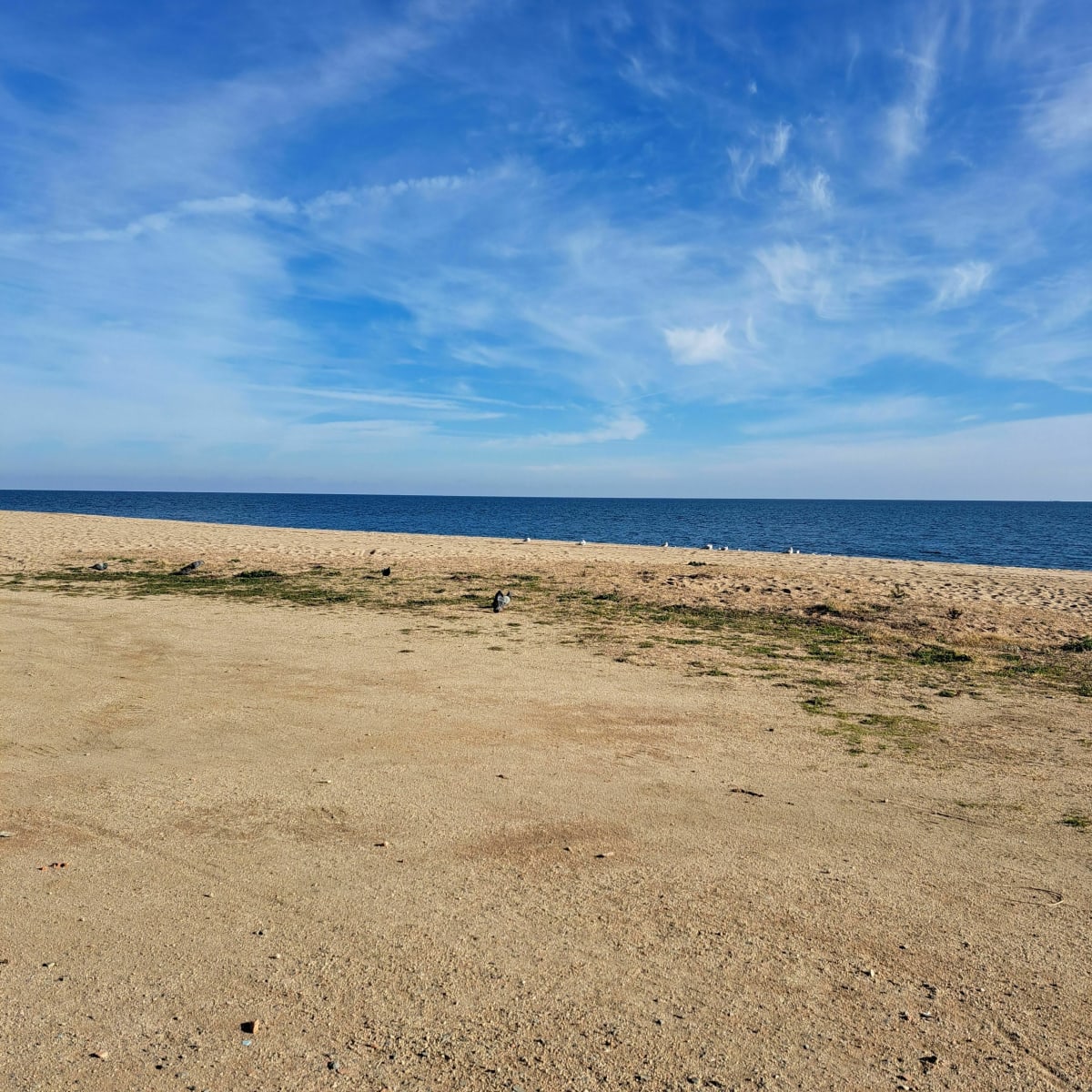 Sortie à Calella