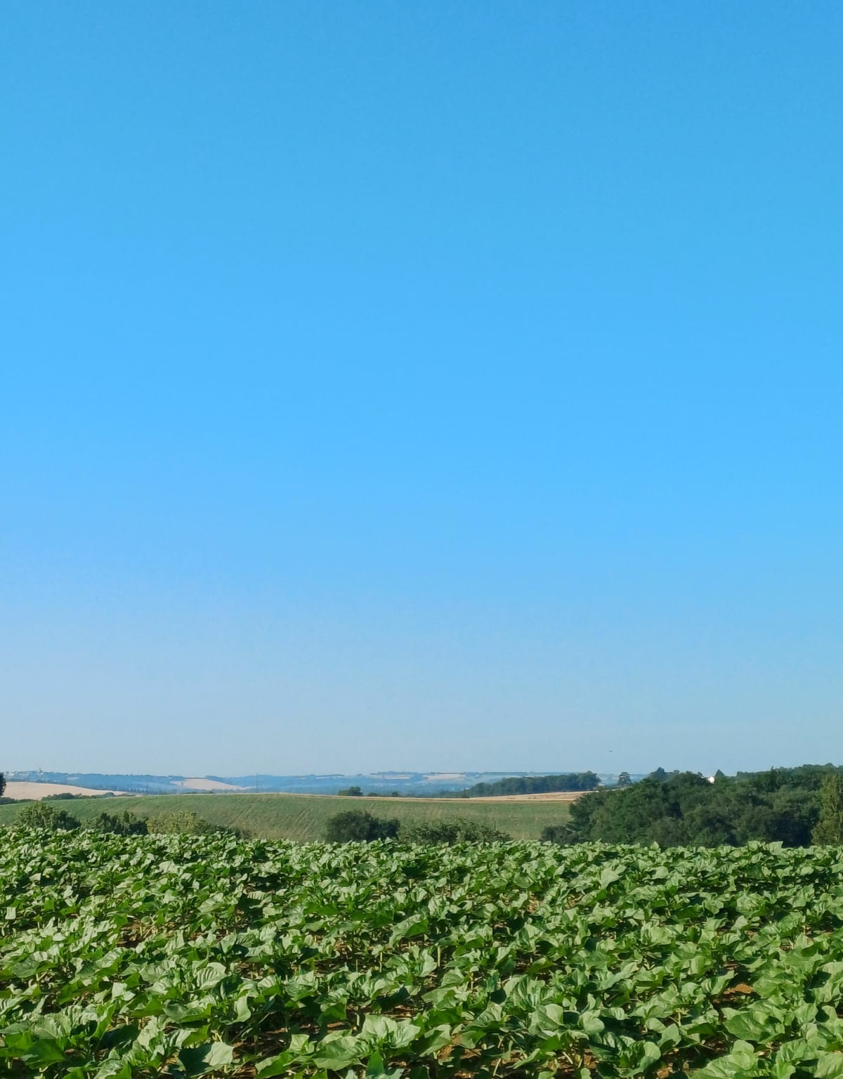 Vallée Auroue - Gimbrède