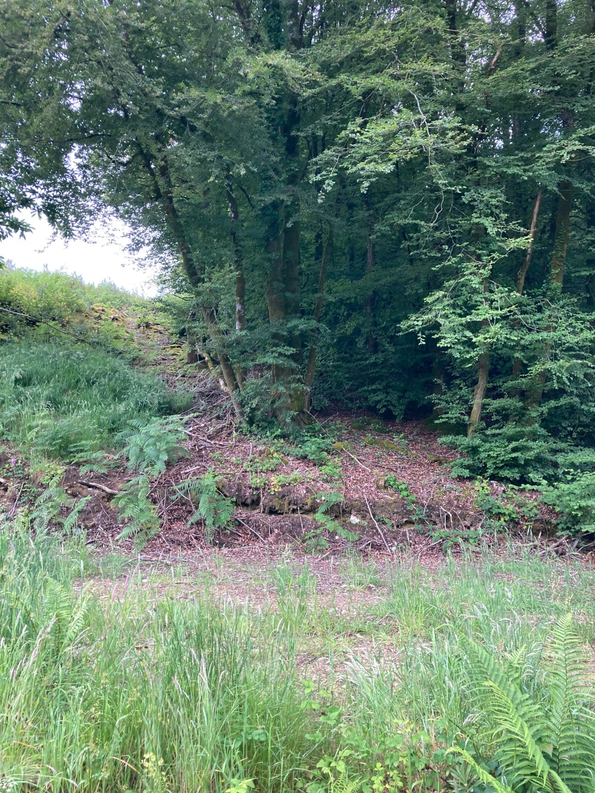 Sortie VTT à Spézet, par Gwaskadien - Spézet