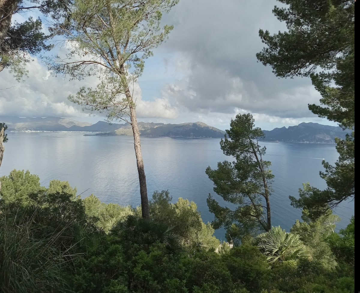 Penya des Migdia - Alcudia