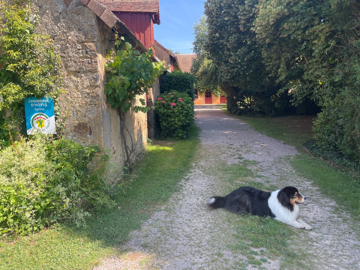 Chemin et patrimoine autour de la Bazoge - La Bazoge
