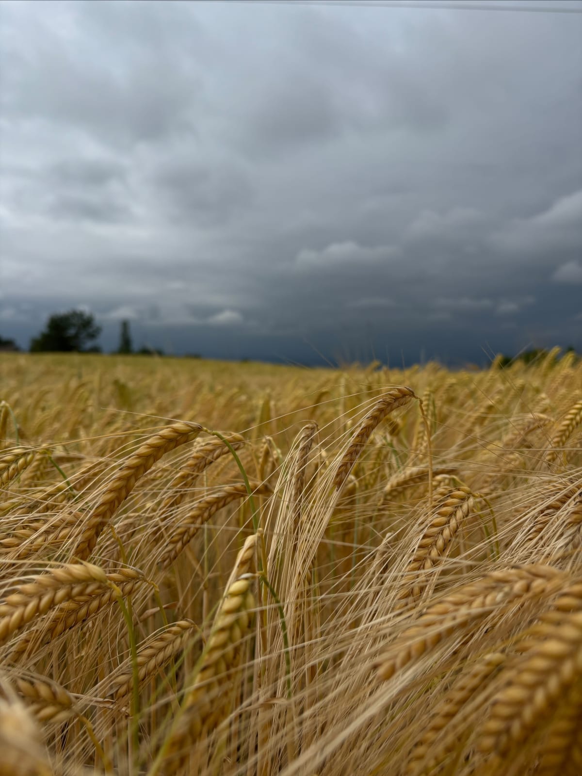 Balade en campagne de St-Héand - La Fouillouse