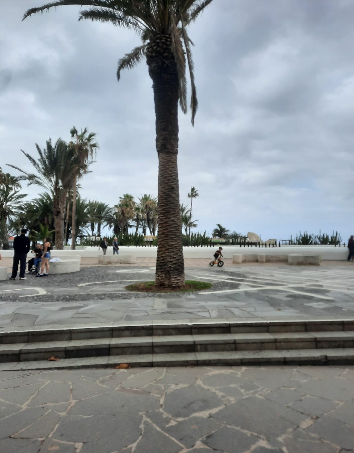 Porto del cruz - Puerto de la Cruz