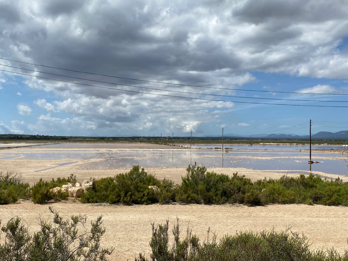 Ses salines - parc natural ES TRENC-SALOBRAR DE CAMPOS - Campos