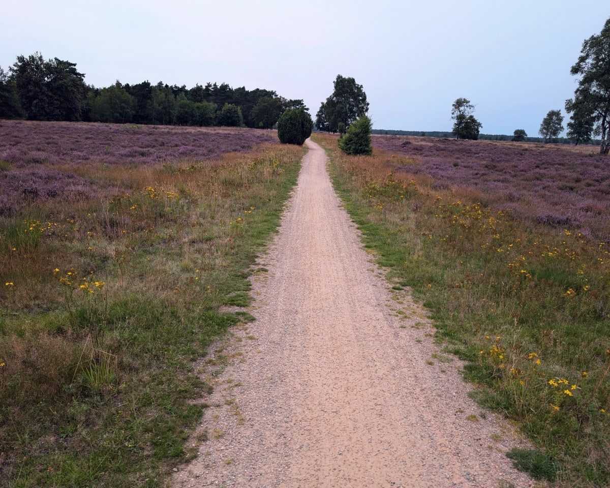 Fietstocht op de Veluwe - Kootwijk