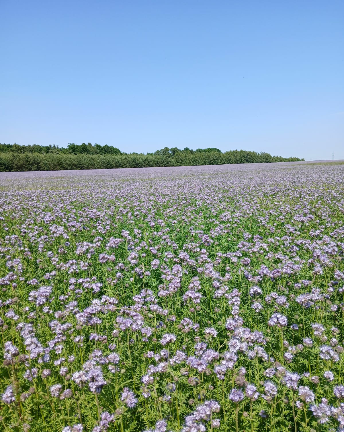 Składowice i Gora - Składowice