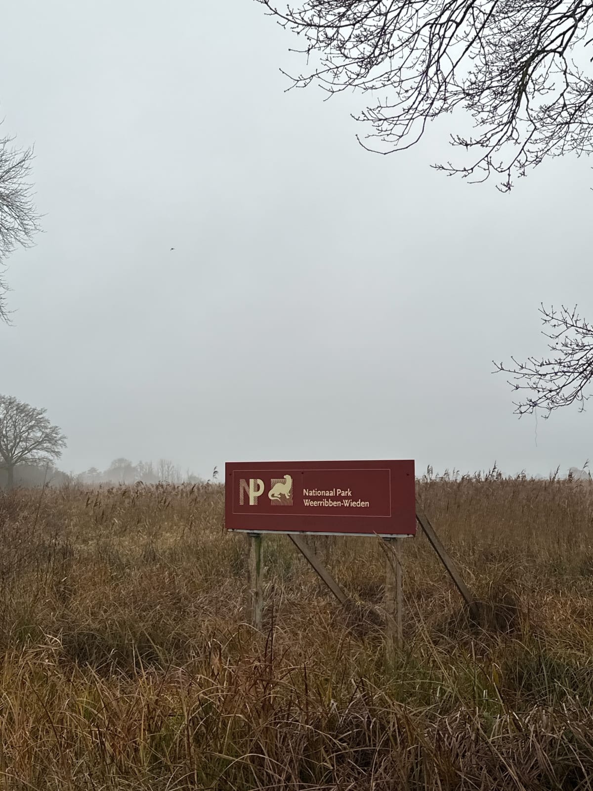 Geweldige kleine wandeling naar Beulakerwijde - Giethoorn