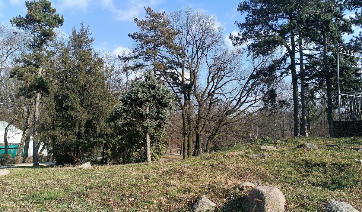 Gniezno - Osiniec - Iryna