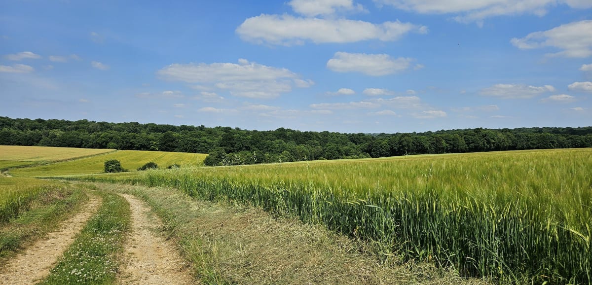 Balade de la sorcière bleue - Fillières