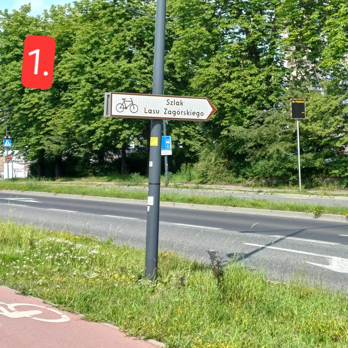 Szlak Lasu Zagórskiego - Sosnowiec