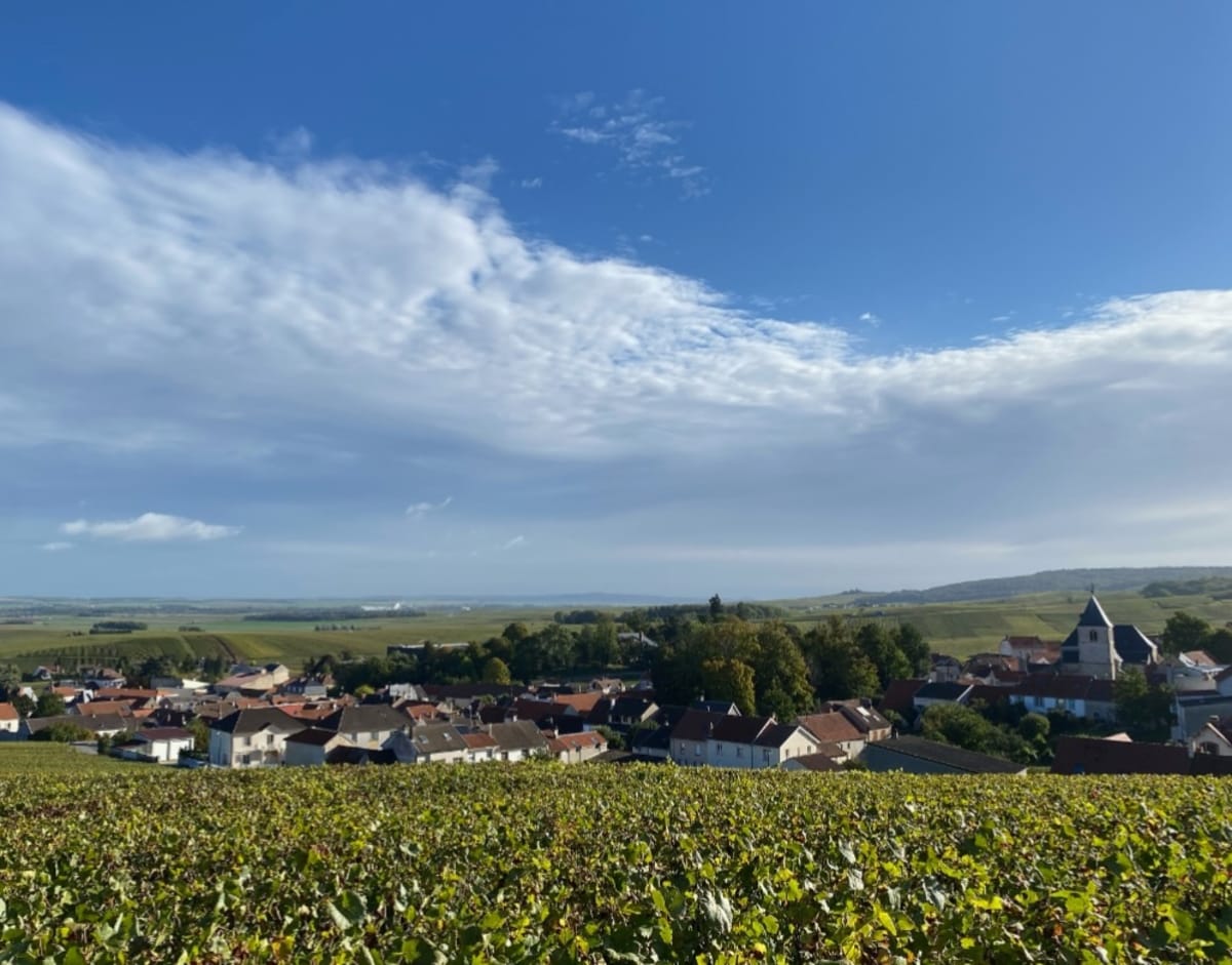 Tour des maisons de champagne casse pattes - Reims