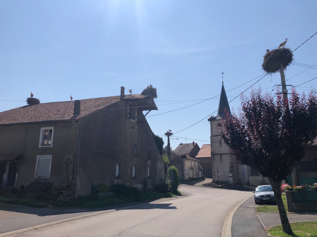 Routes de campagne en Centre Mosellan - Grostenquin